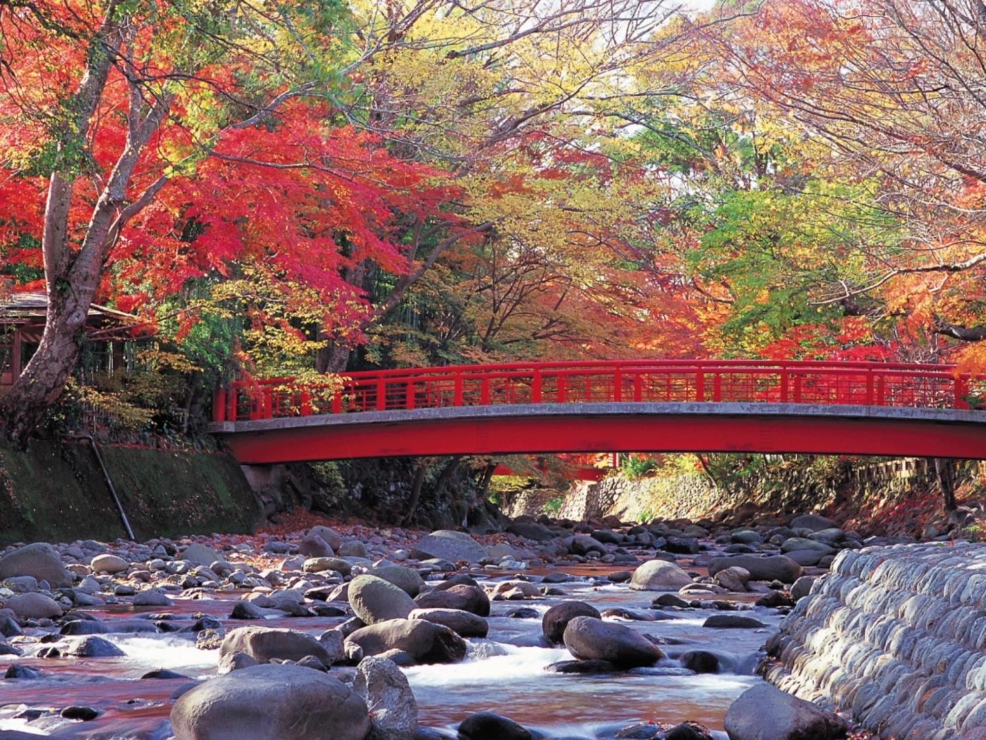 Shuzenji Onsen Hotel Takitei Ίζου Εξωτερικό φωτογραφία