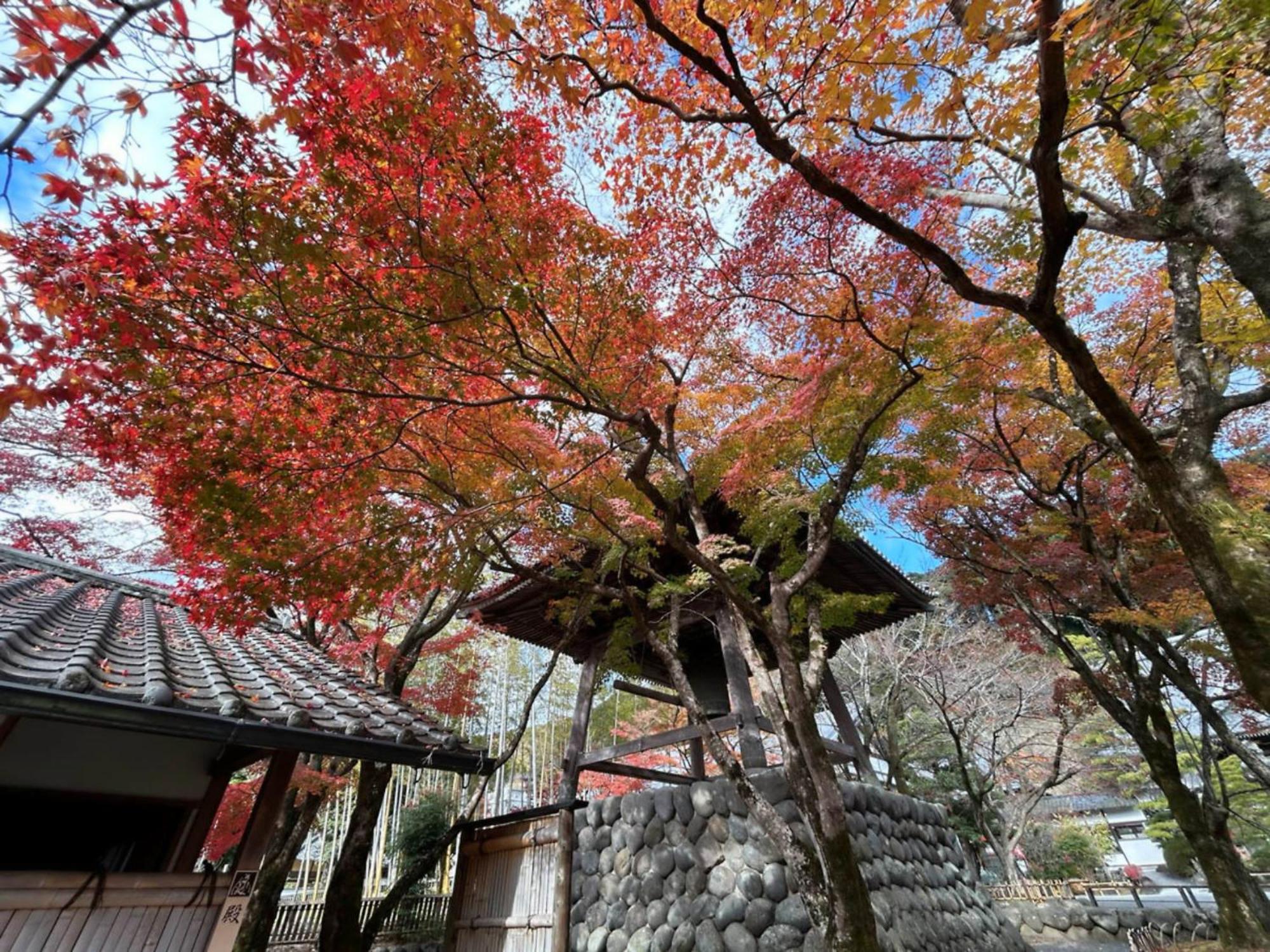 Shuzenji Onsen Hotel Takitei Ίζου Εξωτερικό φωτογραφία