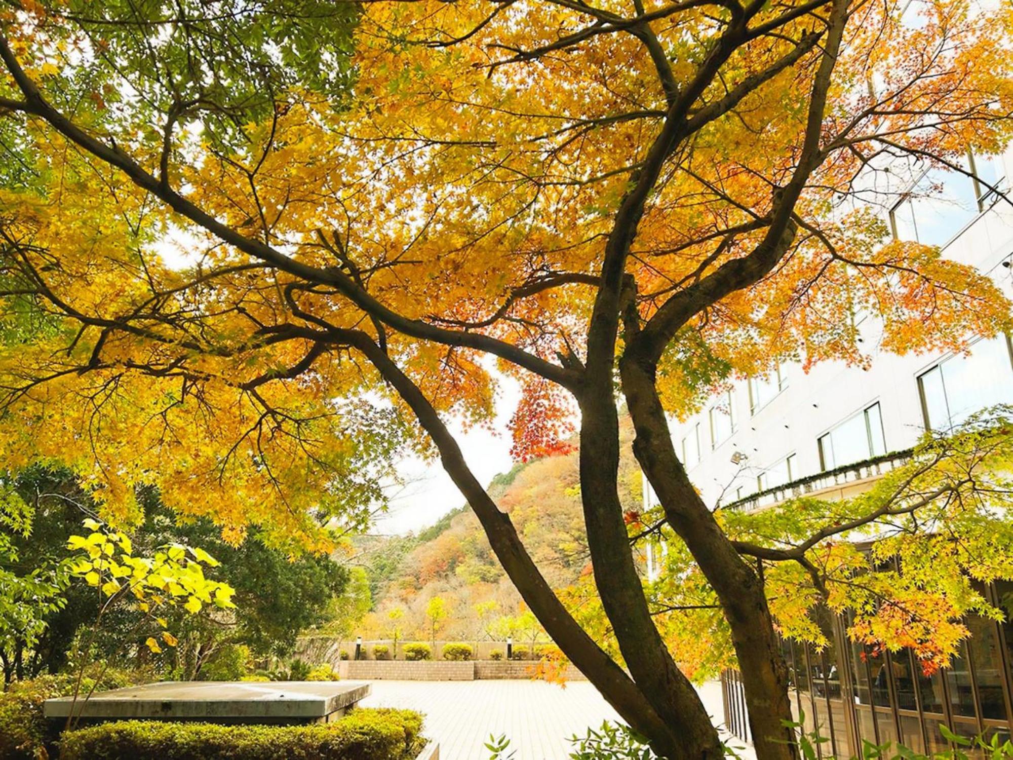 Shuzenji Onsen Hotel Takitei Ίζου Εξωτερικό φωτογραφία