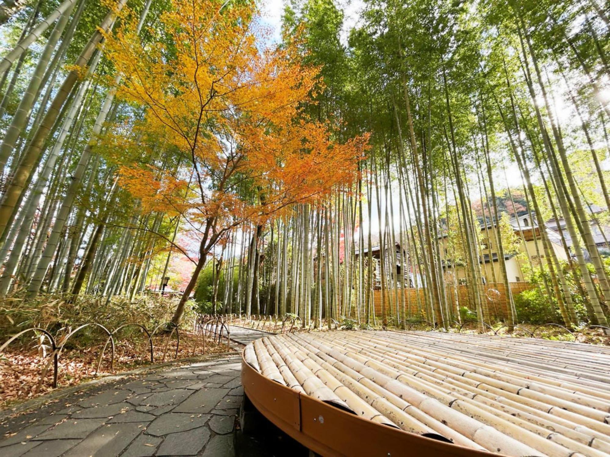 Shuzenji Onsen Hotel Takitei Ίζου Εξωτερικό φωτογραφία