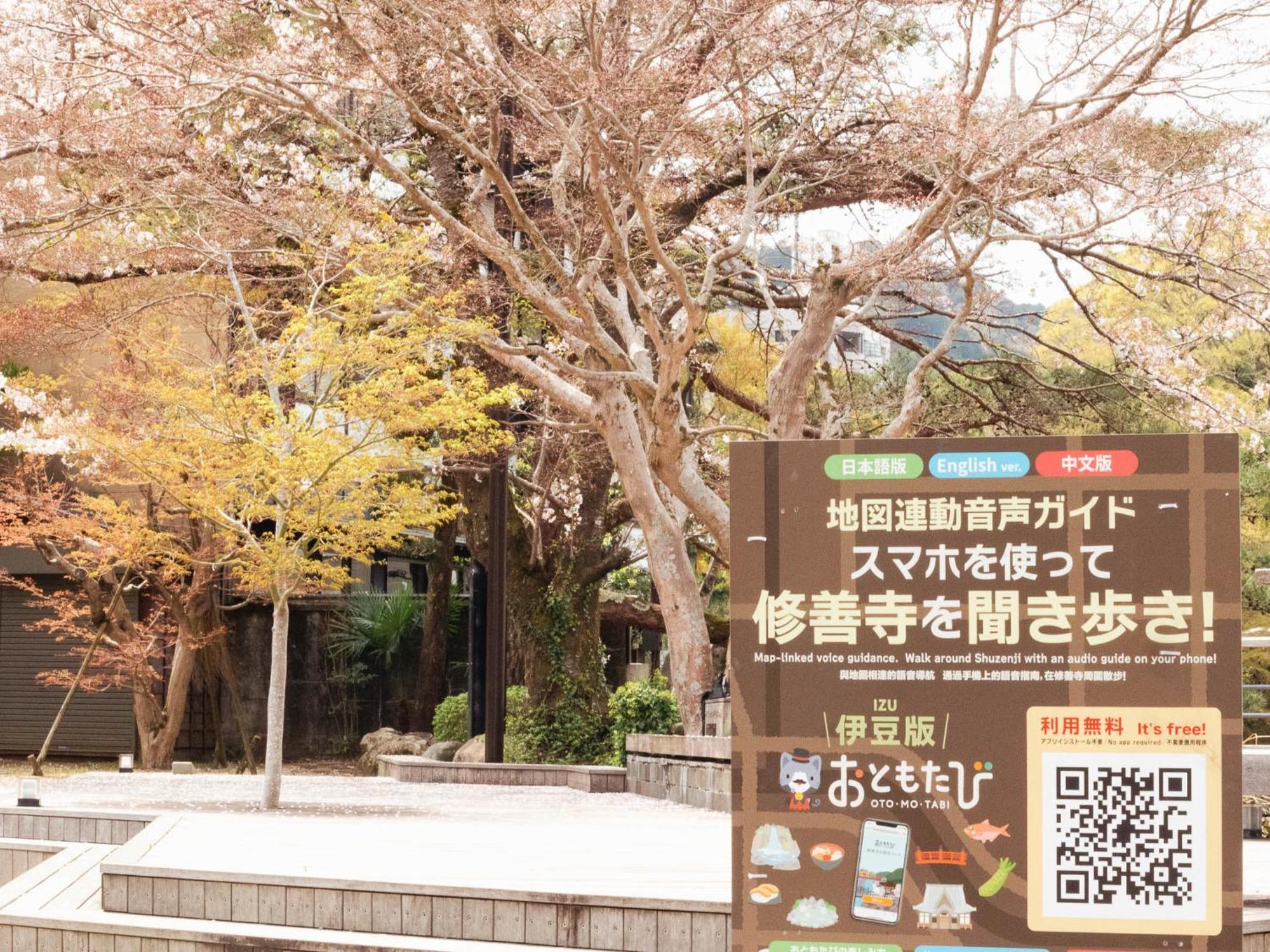 Shuzenji Onsen Hotel Takitei Ίζου Εξωτερικό φωτογραφία